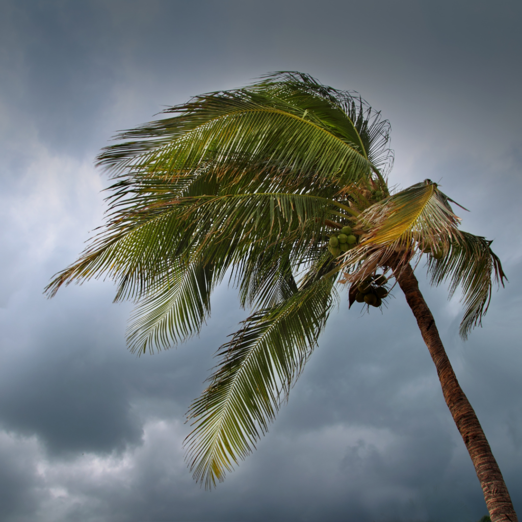 Stay Ahead Of The Storm Hurricane Safety Tips For 2023 